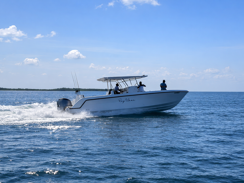 What Makes Us Different