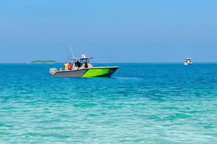 HEADSEAS 28cc