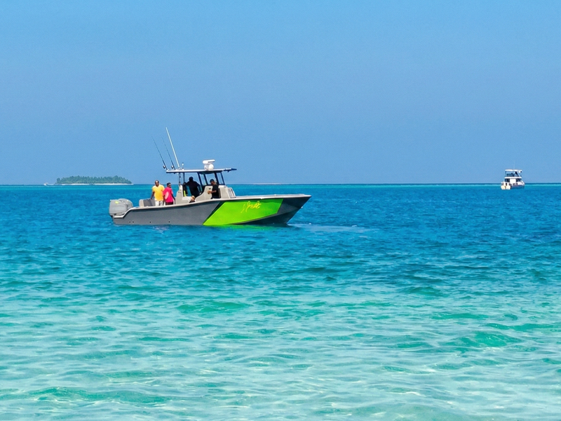 HEADSEAS 28cc